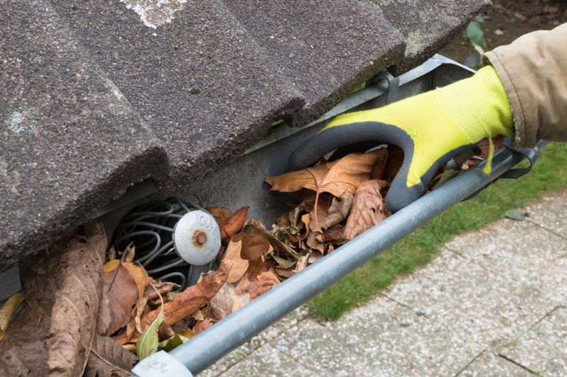 Professionals Performing Gutter Maintenance